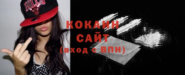 крисы Новокубанск
