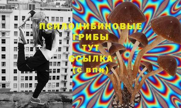 крисы Новокубанск