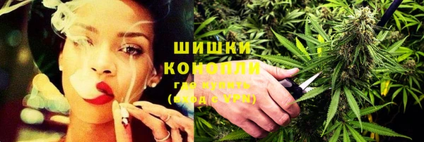 a pvp Новозыбков