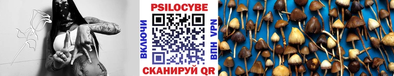 сайты даркнета состав  Ильский  Псилоцибиновые грибы GOLDEN TEACHER 