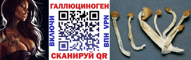 Галлюциногенные грибы Magic Shrooms Ильский