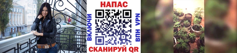 Бошки марихуана White Widow Ильский